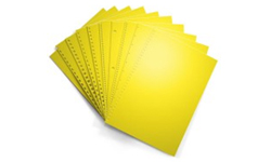 Sunburst Yellow Pre-Punched Paper