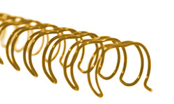 Gold Twin Loop Wire Binding Spines