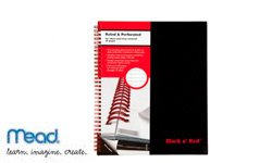 Mead Business Notebooks