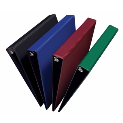 Avery 1" Assorted Durable Slant Ring Binders12pk (AVE-11258)